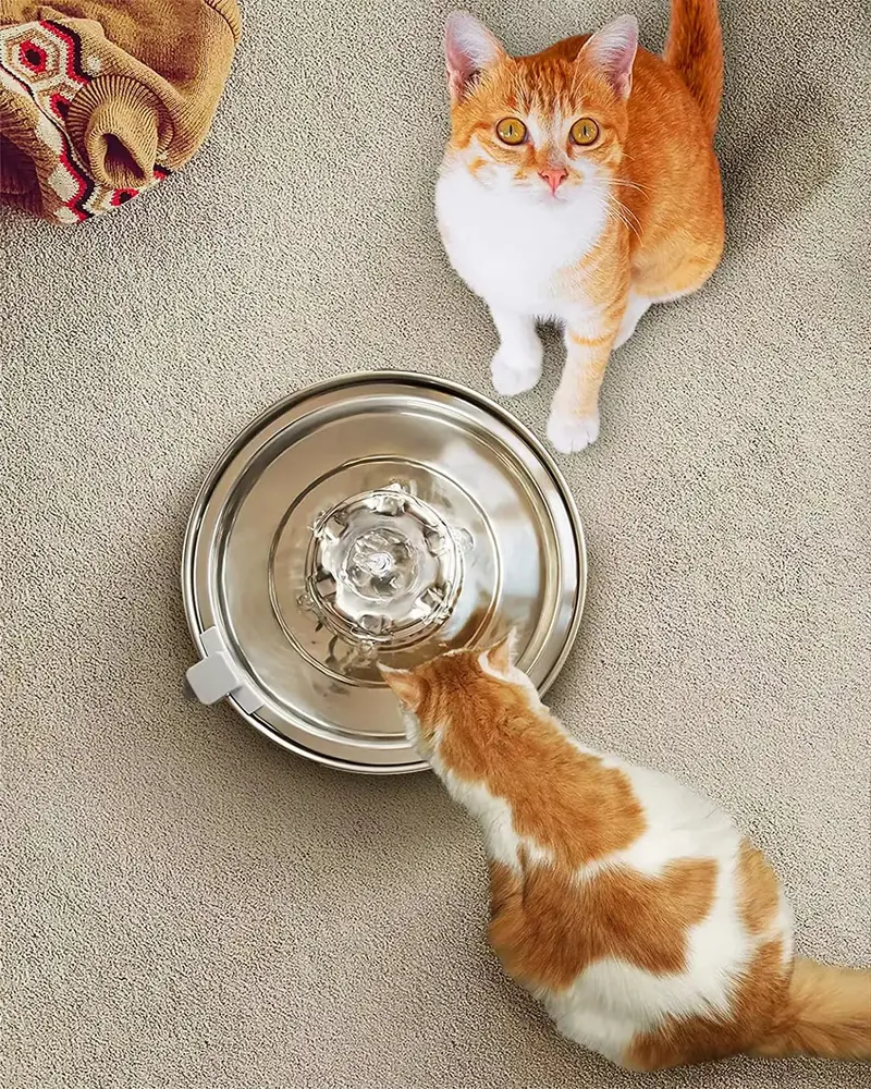 2L Automatic Pet Water Fountain – Stainless Steel Bowl, Filtered Flow & Ultra-Quiet Operation