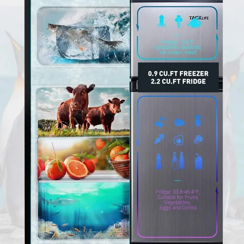 3.1 Cu Ft Compact Mini Fridge with Freezer & Energy-Efficient LED Lighting