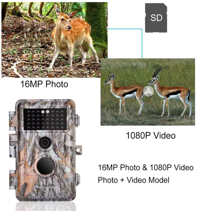 5-Pack 16MP Trail Cameras – Full HD Wildlife Hunting Cameras with Night Vision & Time-Lapse