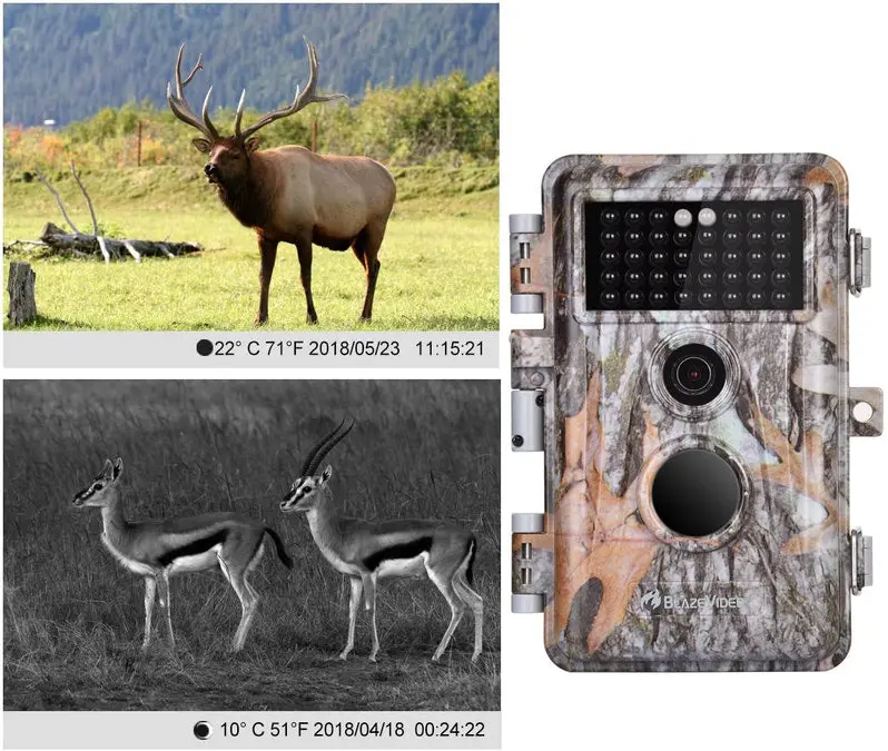 5-Pack 16MP Trail Cameras – Full HD Wildlife Hunting Cameras with Night Vision & Time-Lapse