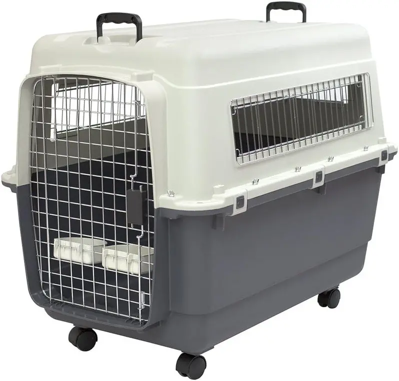 Airline-Approved Rolling Travel Crate for Dogs – XXX-Large Plastic Kennel with Wire Door and Smooth-Castor Wheels (Gray)