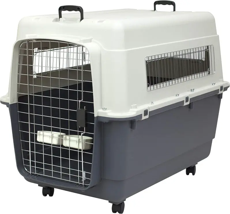 Airline-Approved Rolling Travel Crate for Dogs – XXX-Large Plastic Kennel with Wire Door and Smooth-Castor Wheels (Gray)
