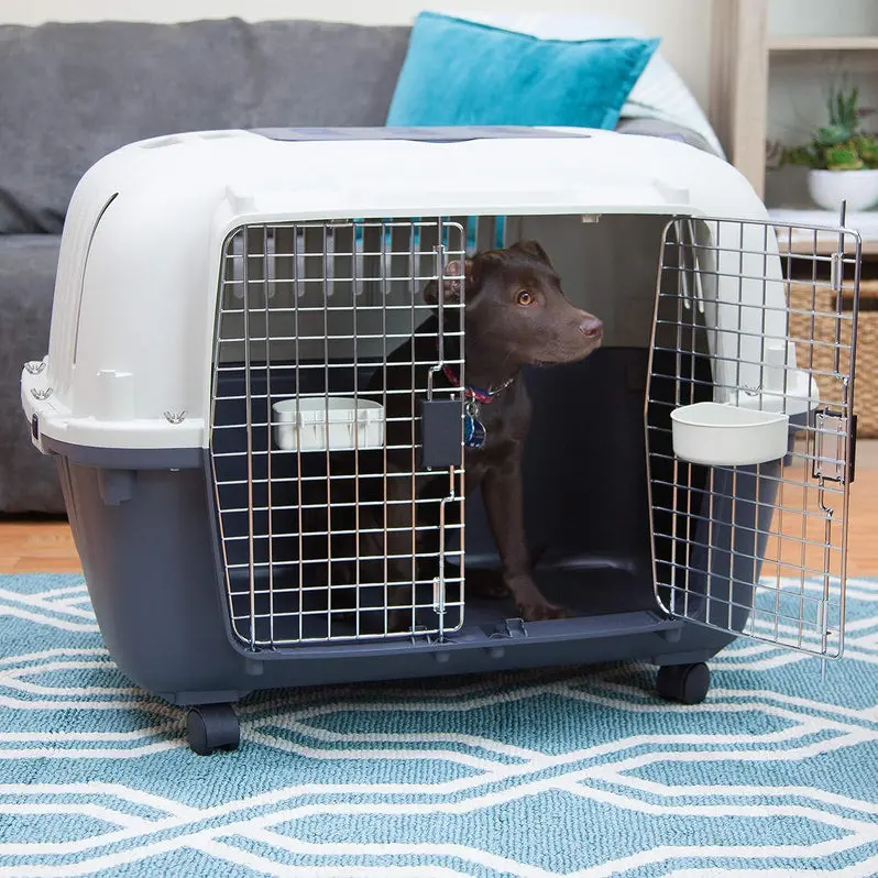 Airline-Approved Rolling Travel Crate for Dogs – XXX-Large Plastic Kennel with Wire Door and Smooth-Castor Wheels (Gray)