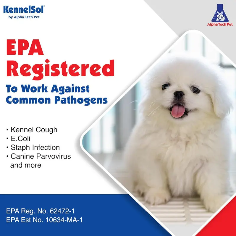 Alpha Tech Pet 1-Step Kennel Cleaner – EPA-Registered Concentrated Disinfectant & Deodorizer | Kills Bacteria & Viruses | 5-Gallon Container