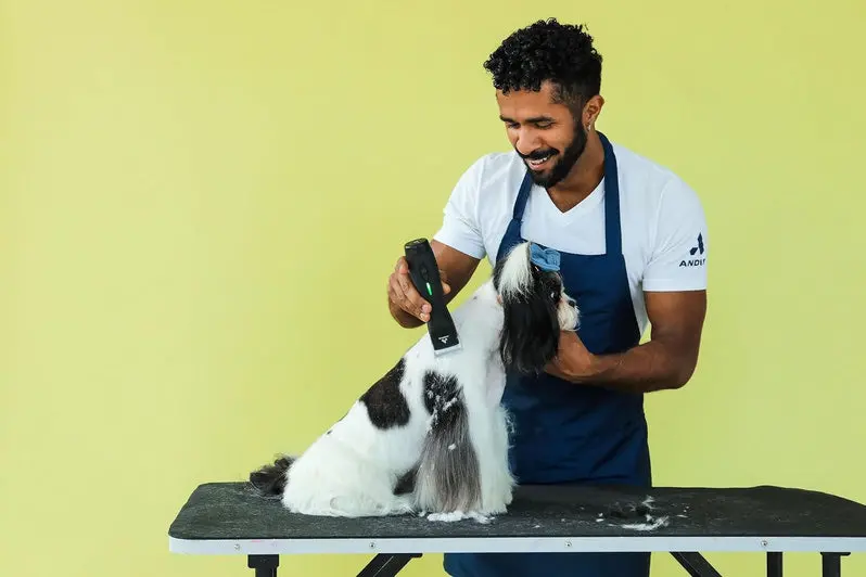 Andis Pulse ZR II Cordless Pet Clipper – 5-Speed Detachable Blade Grooming Tool for Dogs & Animals | Rechargeable Lithium-Ion Battery | LED Charge Indicator