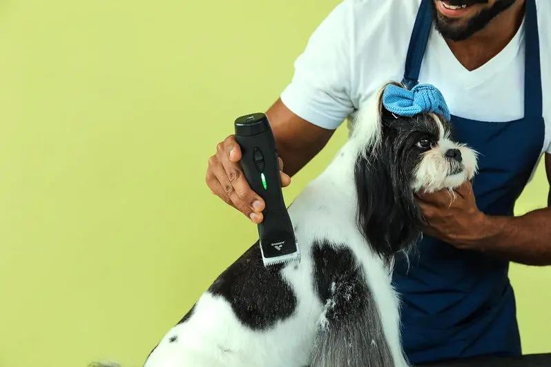 Andis Pulse ZR II Cordless Pet Clipper – 5-Speed Detachable Blade Grooming Tool for Dogs & Animals | Rechargeable Lithium-Ion Battery | LED Charge Indicator