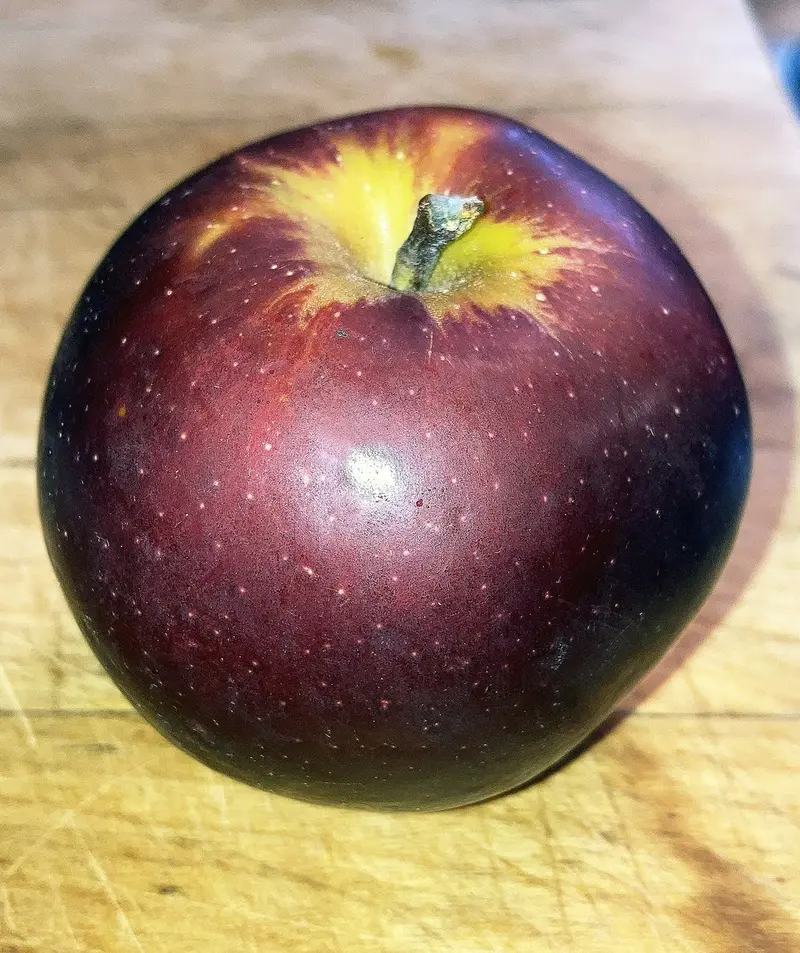 Arkansas Black Apple Tree – Heirloom Firm Tart Apple