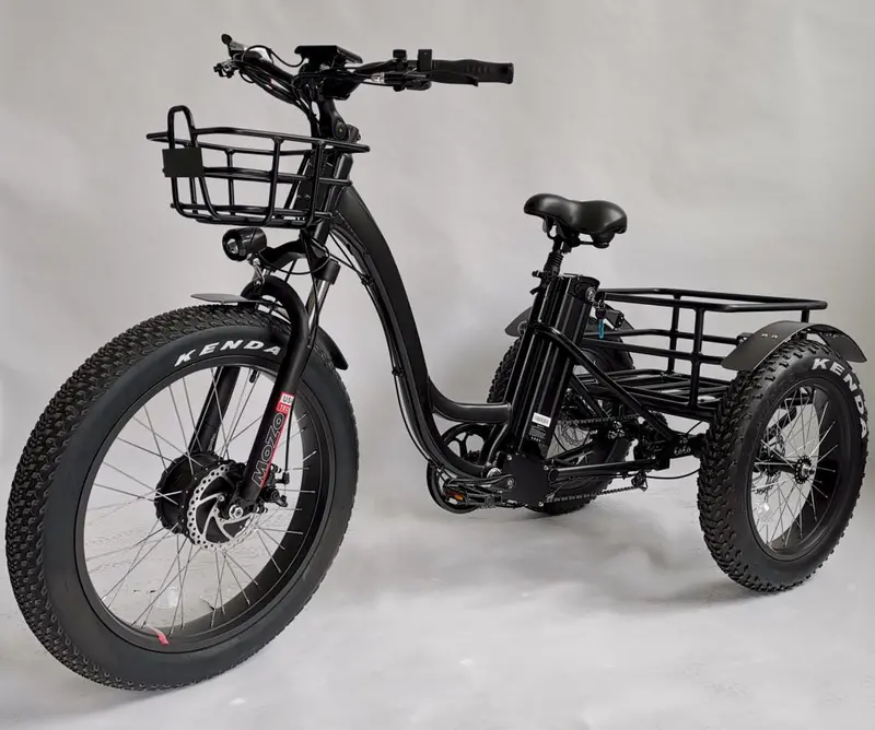 BaFang 750W Fat-Tire Electric Trike — All-Terrain Tricycle, Samsung Battery, Dual Suspension, 350 lb Capacity