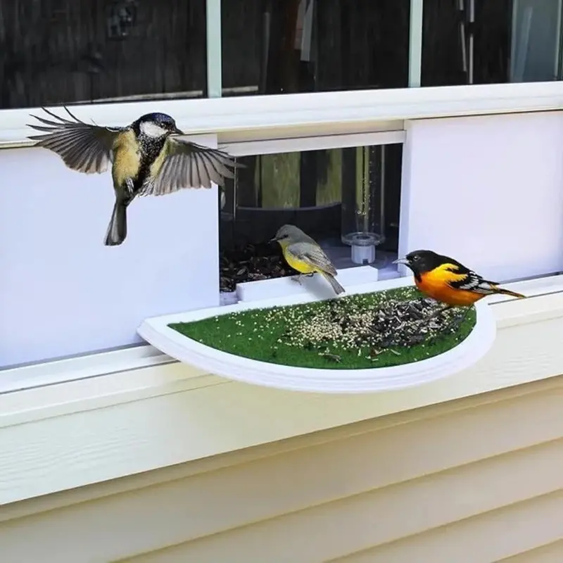 Clear Acrylic Window Bird Feeder | Suction-Cup Mounted Viewing Feeder