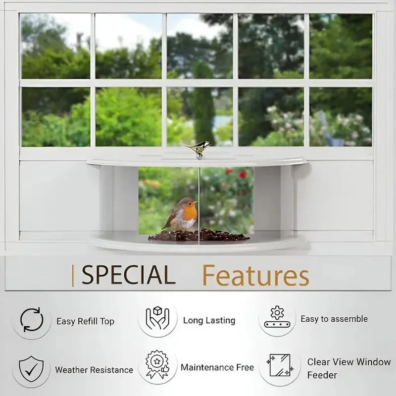 Clear Acrylic Window Bird Feeder | Suction-Cup Mounted Viewing Feeder