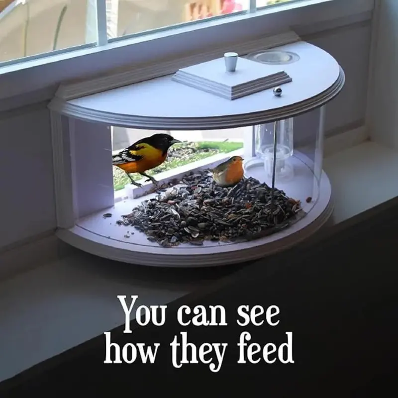 Clear Acrylic Window Bird Feeder | Suction-Cup Mounted Viewing Feeder