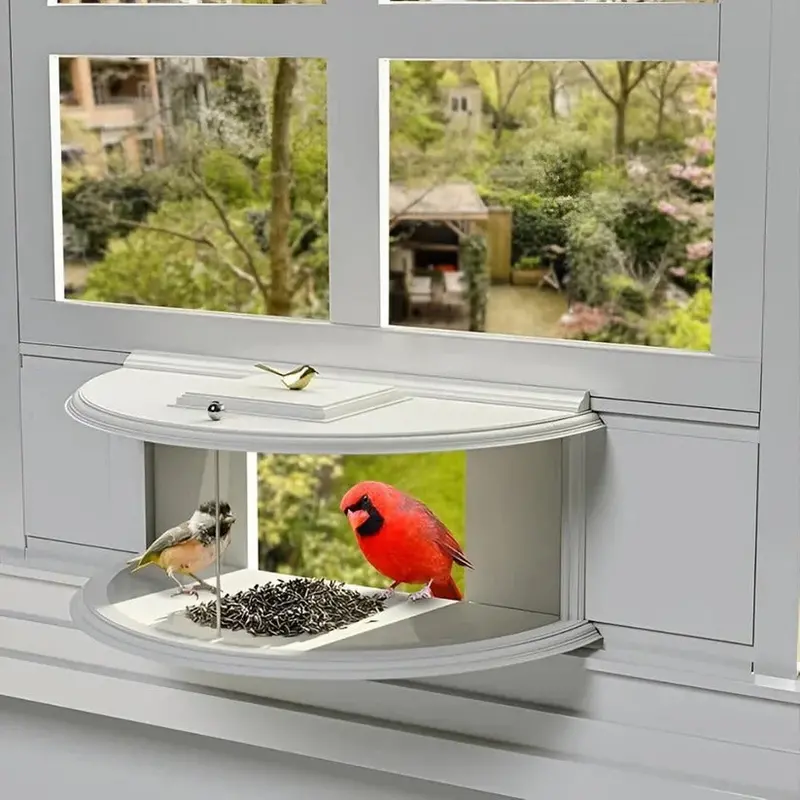 Clear Acrylic Window Bird Feeder | Suction-Cup Mounted Viewing Feeder