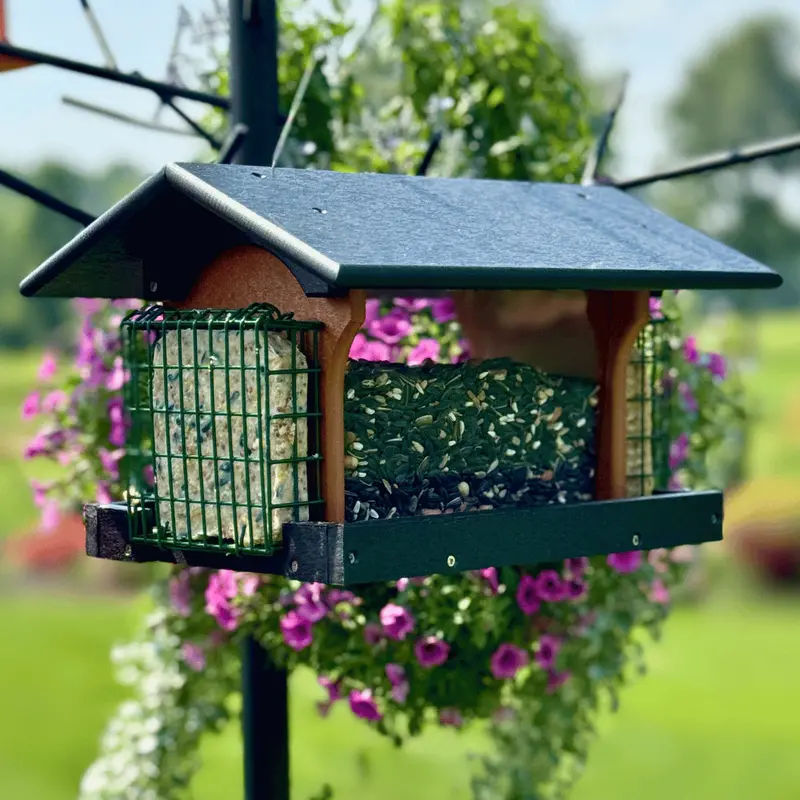 Dual-Compartment Suet & Seed Bird Feeder | Deluxe Wild Bird Attraction Station