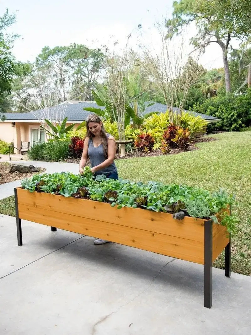 Eco-Stained Elevated Wooden Planter Box for Gardens