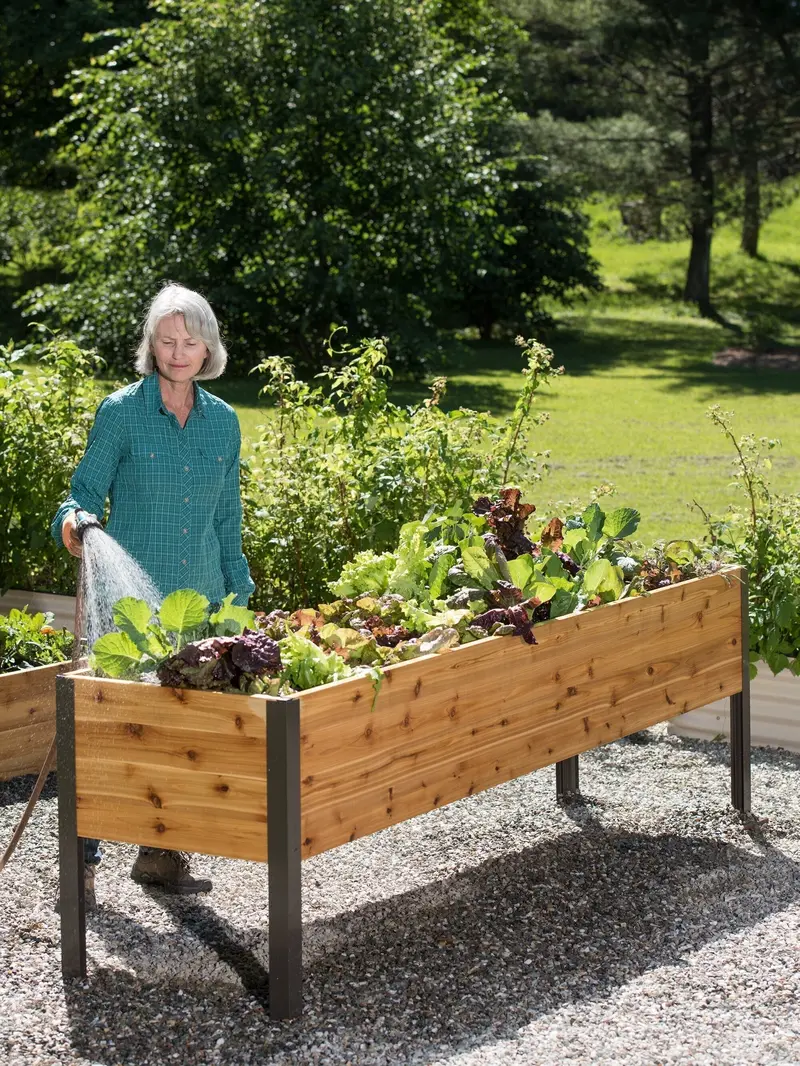 Eco-Stained Elevated Wooden Planter Box for Gardens