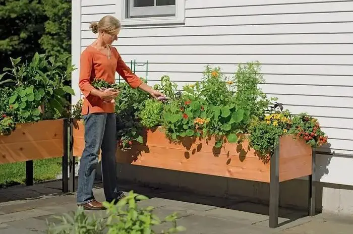 Eco-Stained Elevated Wooden Planter Box for Gardens