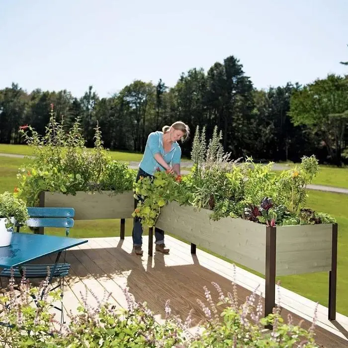 Eco-Stained Elevated Wooden Planter Box for Gardens