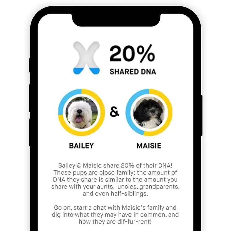 Embark Canine DNA Test Kit – Breed, Ancestry & Health Insights