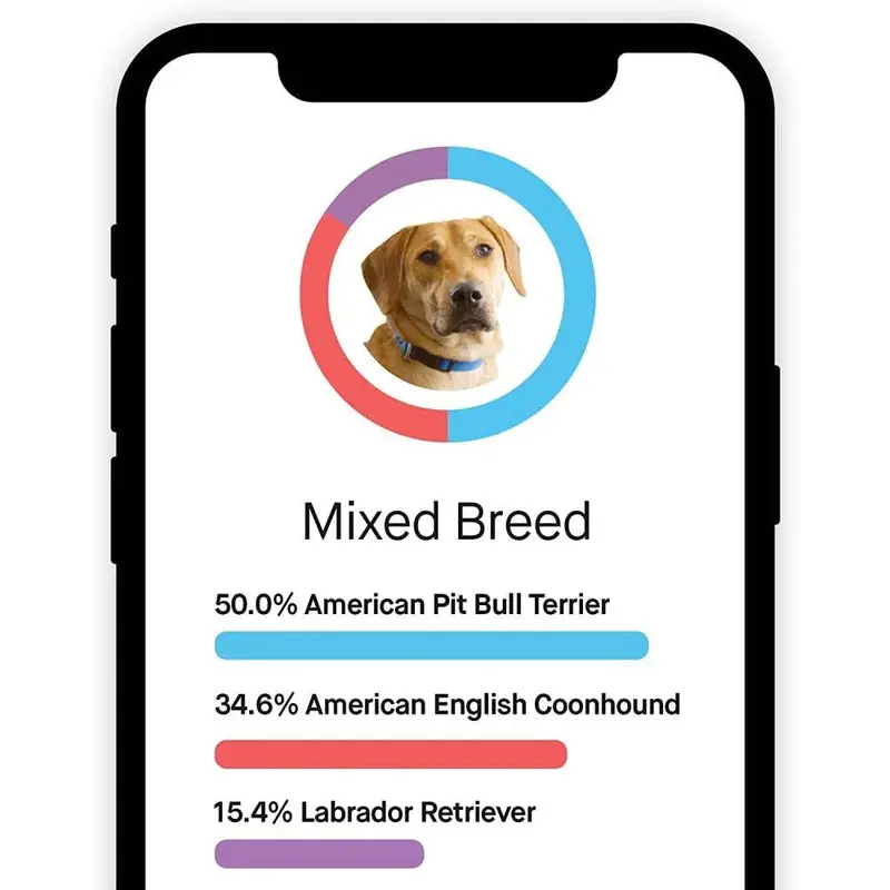 Embark Canine DNA Test Kit – Breed, Ancestry & Health Insights