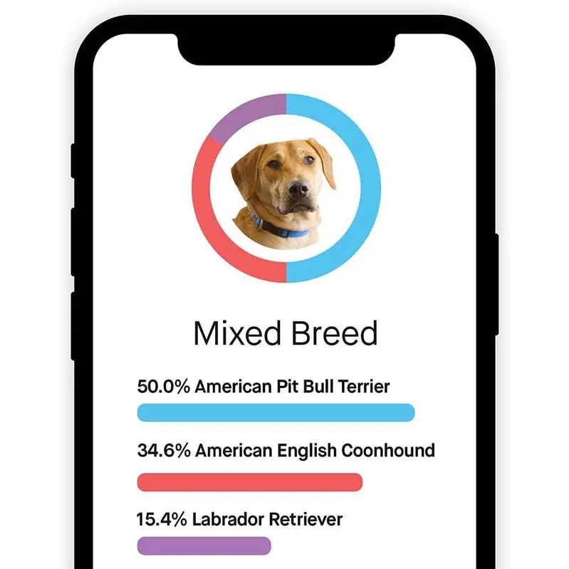 Embark Dog DNA Test Kit – Comprehensive Breed Identification & Genetic Health Insights