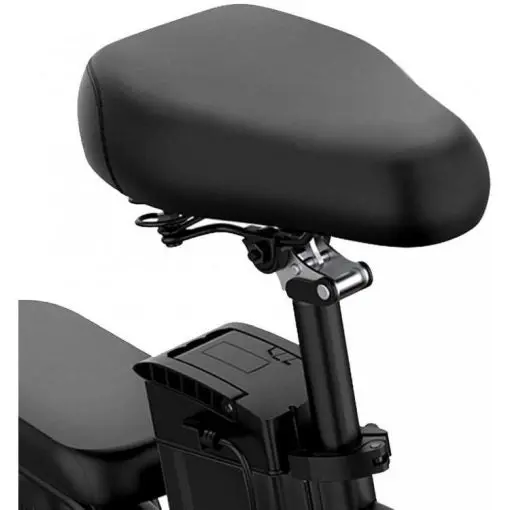 Foldable 250W Electric Bike – 14" LCD Display, Removable Lithium Battery, Dual Hydraulic Disc Brakes