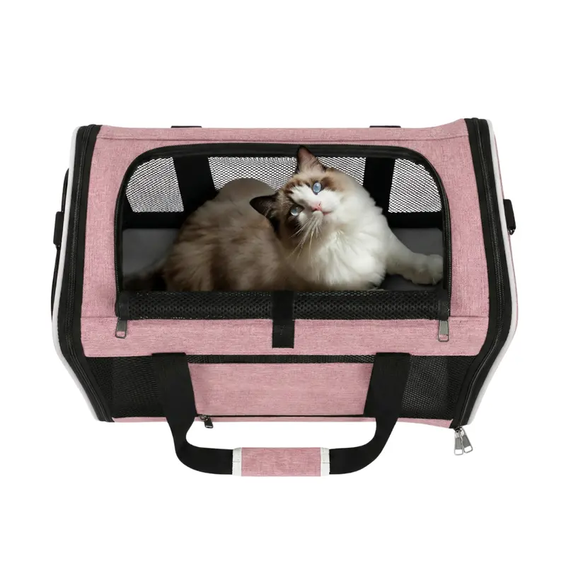Foldable Soft Pet Carrier with Top/Side Access and Ventilated Panels