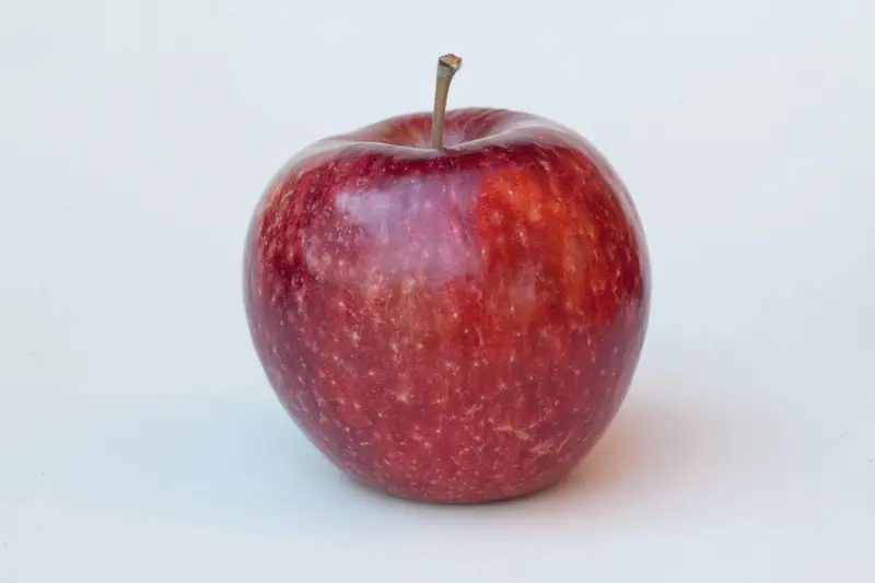 Frostbite Apple Tree – Cold-Hardy Northern Apple