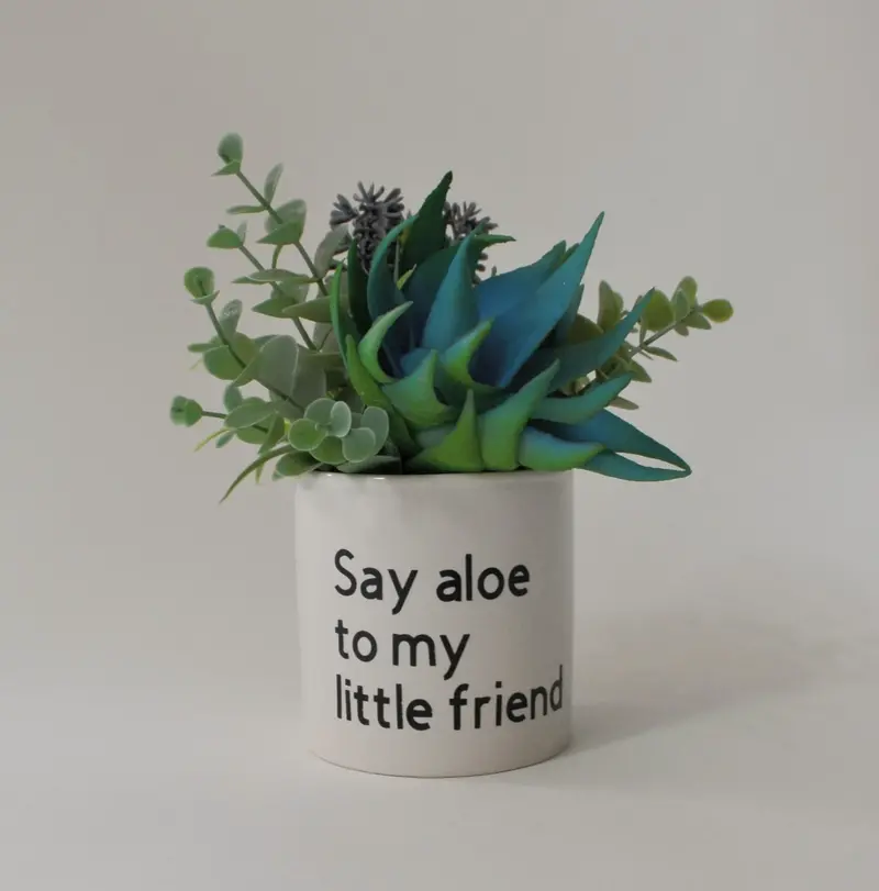 Hand-Painted Custom Ceramic Planters for Centerpieces or Favors