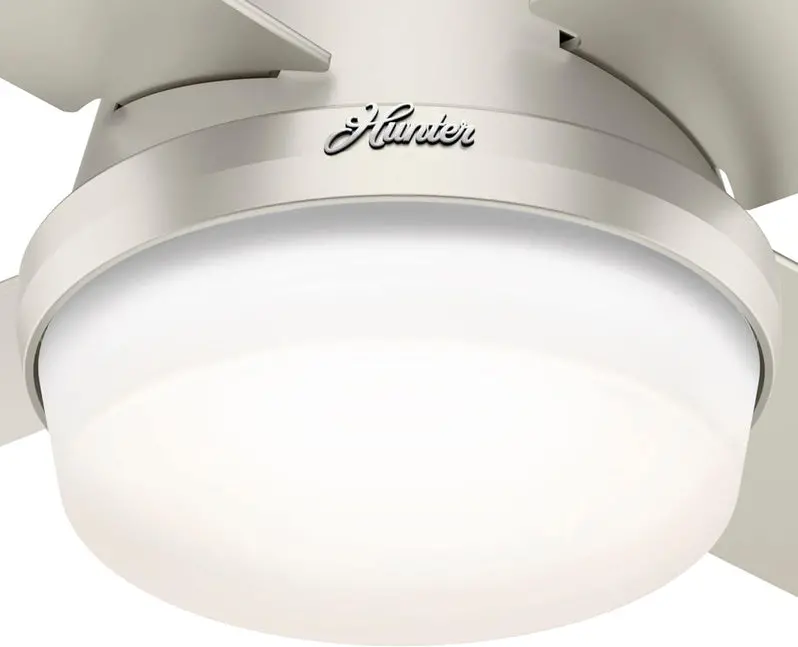 Hunter Dempsey Low-Profile Indoor/Outdoor Ceiling Fan – 44-Inch Matte Nickel Model with Integrated LED Light and Remote