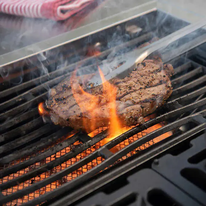 Kirkland Signature Stone Island 12-Burner Gas Grill — Premium Outdoor Cooking Station