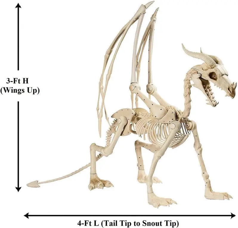Life-Size 4-Foot Pterosaur Skeleton Decor for Halloween Spooktacular Displays
