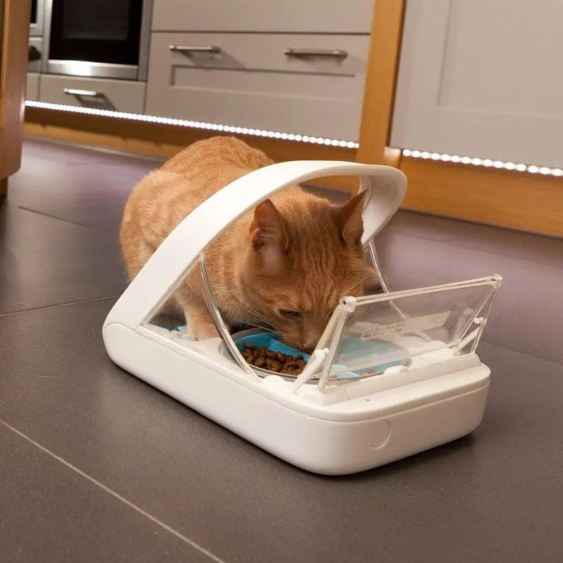Microchip-Activated Automatic Pet Feeder (MPF001) | Dual-Compartment Dispenser for Wet & Dry Food | Includes Bonus Pet Towel