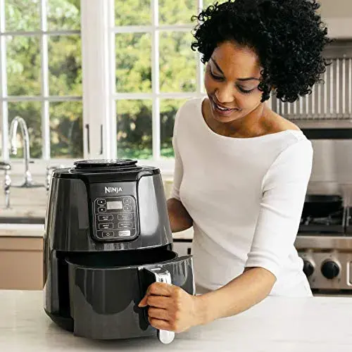 Ninja AF101 4-Quart Air Fryer – Compact Countertop Cooking Appliance in Black/Gray