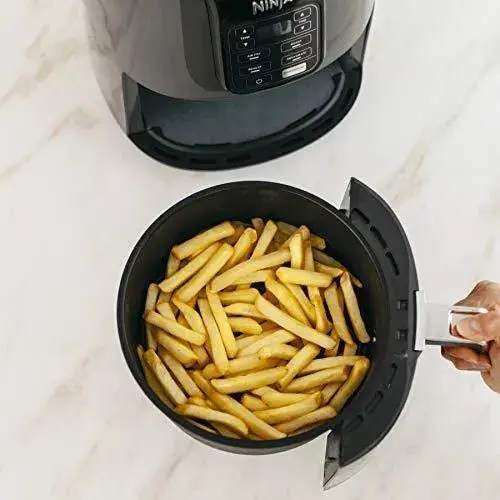 Ninja AF101 4-Quart Air Fryer – Compact Countertop Cooking Appliance in Black/Gray