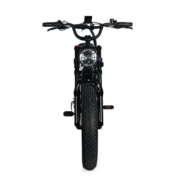 Off-Road Electric Mountain Bike — 1000W Motor, 48V 20Ah Removable Battery, 45 MPH, 20x4.0 Fat Tires, Shimano 7-Speed