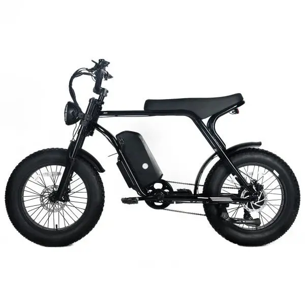Off-Road Electric Mountain Bike — 1000W Motor, 48V 20Ah Removable Battery, 45 MPH, 20x4.0 Fat Tires, Shimano 7-Speed