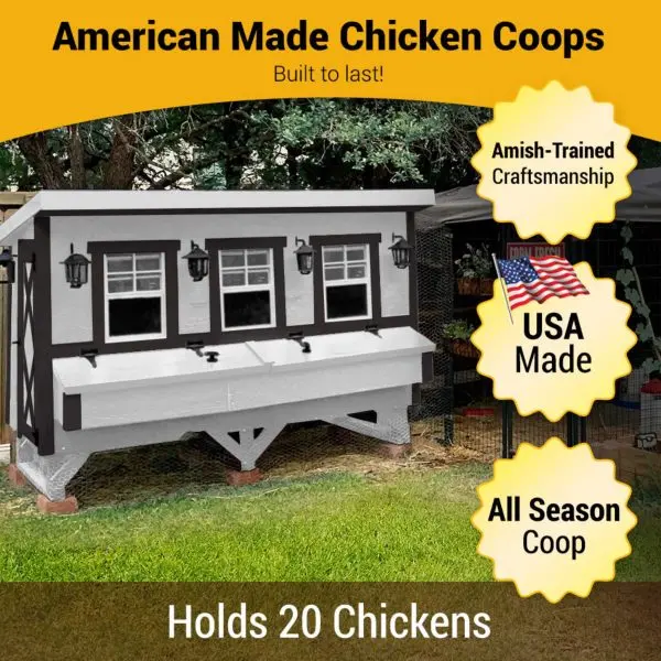 OverEZ X-Large Chicken Coop – Spacious, Ventilated Housing for Small Flocks