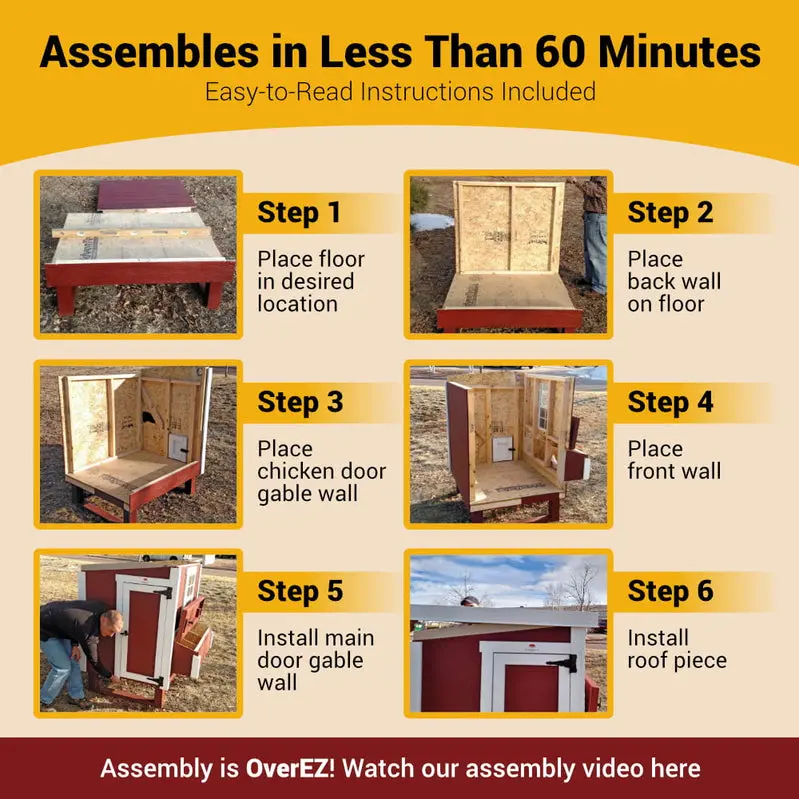 OverEZ XL Chicken Coop – Accommodates Up to 20 Chickens, All-in-One Enclosed Habitat
