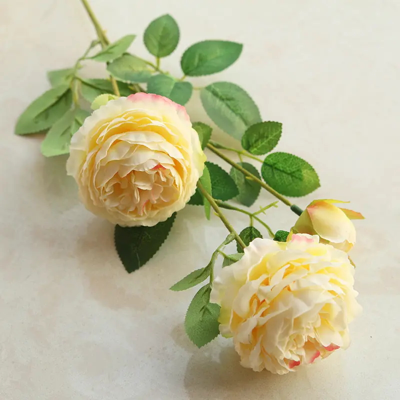 Peony Arch Decoration Kit – Premium Silk Blooms for Wedding Arches & Studio Backdrops