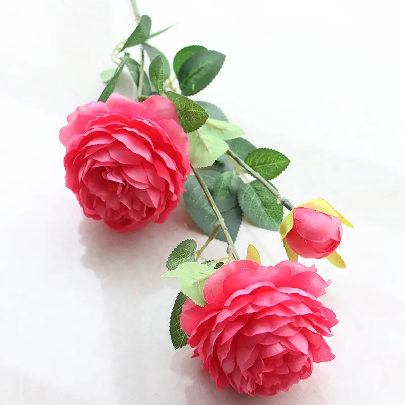 Peony Arch Decoration Kit – Premium Silk Blooms for Wedding Arches & Studio Backdrops