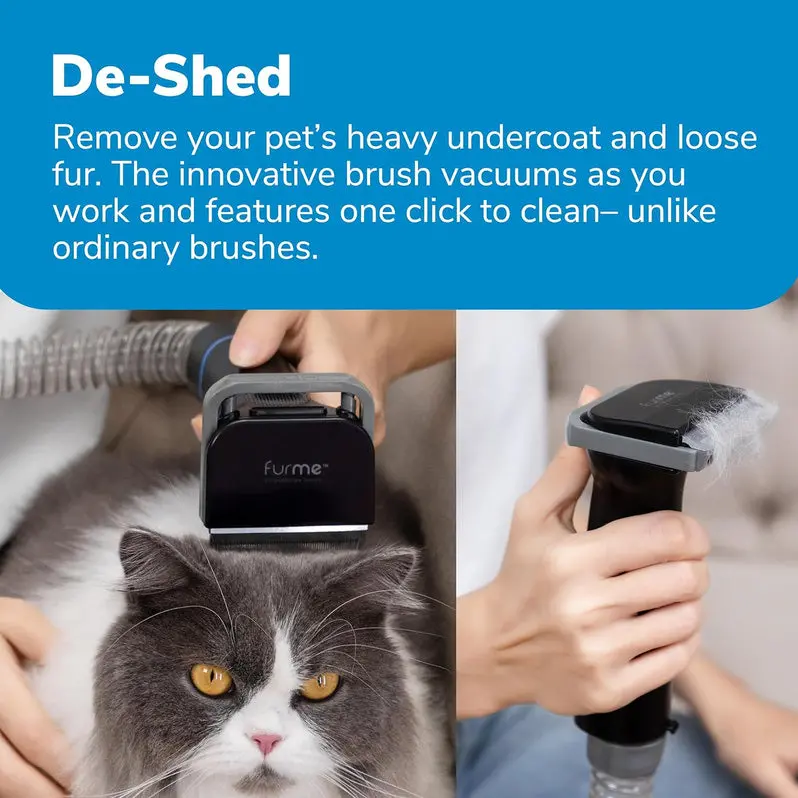 Professional Pet Grooming Vacuum Kit – 2L Canister + 5 Specialized Attachments | Effective on Dog, Cat & Pet Hair on All Coat Types