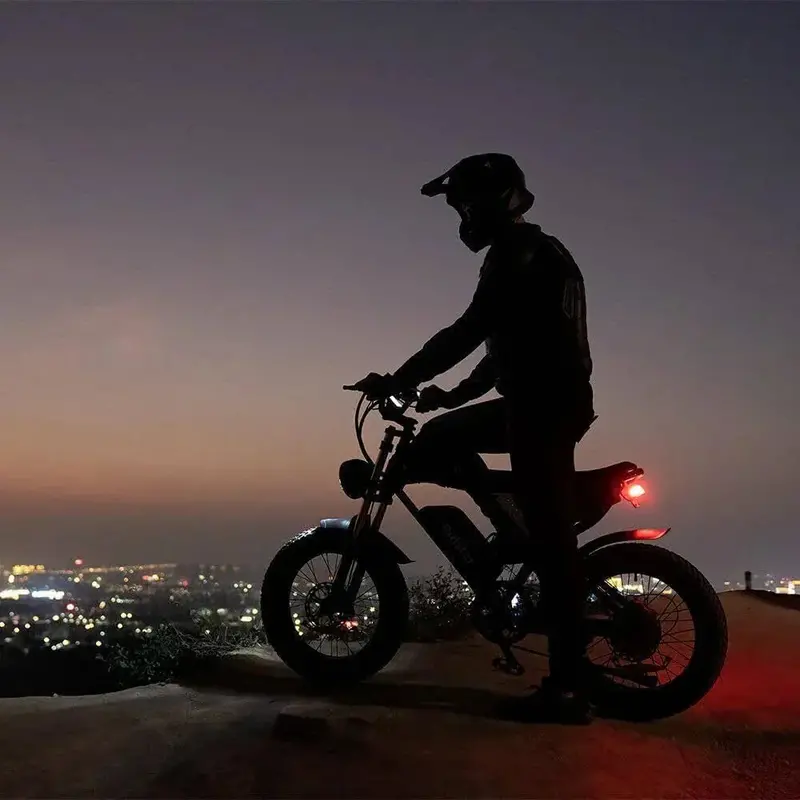 Q20PRO Dual-Motor Electric Bike — 2000W, 52V/40Ah Battery, High-Performance E-Bike