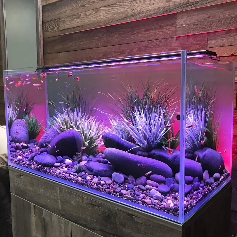 Serene 72" Aquarium Experience Kit – LED Lighting System, Background Illumination, Frosted Film, and Speaker for Immersive Aquatic Display (Model 4028) 2