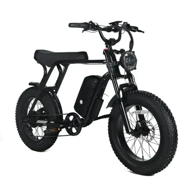 Shi Mano Fat-Tire Electric Mountain Bike – 1000W Motor, 48V 20Ah Battery, 45 MPH Max Speed