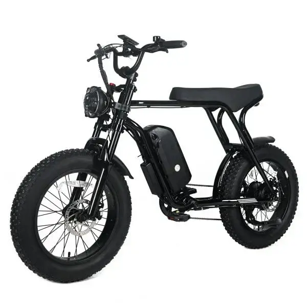 Shi Mano Fat-Tire Electric Mountain Bike – 1000W Motor, 48V 20Ah Battery, 45 MPH Max Speed