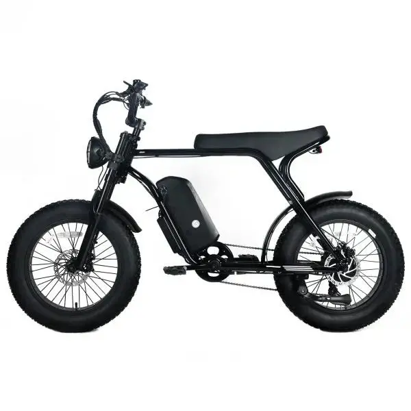 Shi Mano Fat-Tire Electric Mountain Bike – 1000W Motor, 48V 20Ah Battery, 45 MPH Max Speed