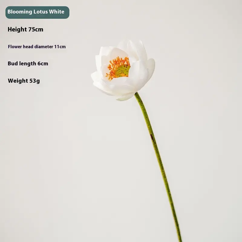 Silk Lotus & Seed Pod Arrangement – Botanical-Inspired Decor for Ponds, Ceremonies & Interiors