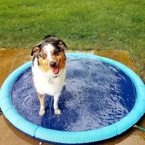 SplashyPaws Outdoor Splash Pad – Kid-Friendly Water Play Mat