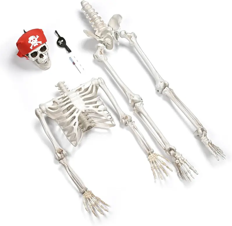 Spooky Halloween Skull Decor – Realistic Resin Skull Prop for Haunted Displays