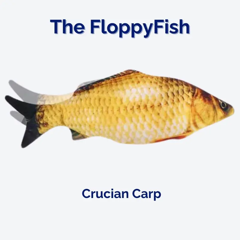 The FloppyFish Interactive Dog Toy – Flapping, Crinkling Pet Engagement Tool